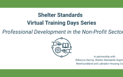 Professional Development in the Non-Profit Sector
